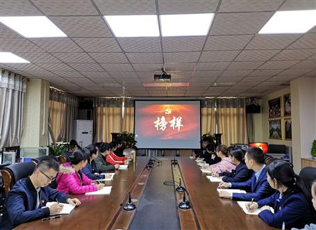 向榜樣看齊，做合格黨員