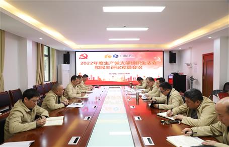 廖立波、唐峰、何勇以普通黨員身份參加所在黨支部2022年度組織生活會(huì)