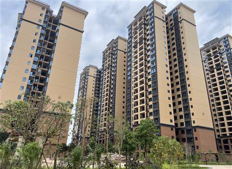 提升“三力”爭(zhēng)創(chuàng)佳績(jī)丨南寧分公司項(xiàng)目通過竣工驗(yàn)收