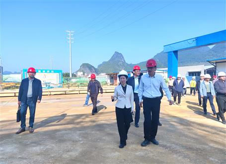 黃小雪到冶建桂鴻分公司項目調(diào)研指導工作